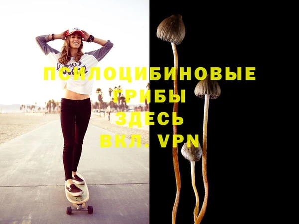 индика Вязьма