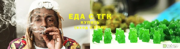 индика Вязьма