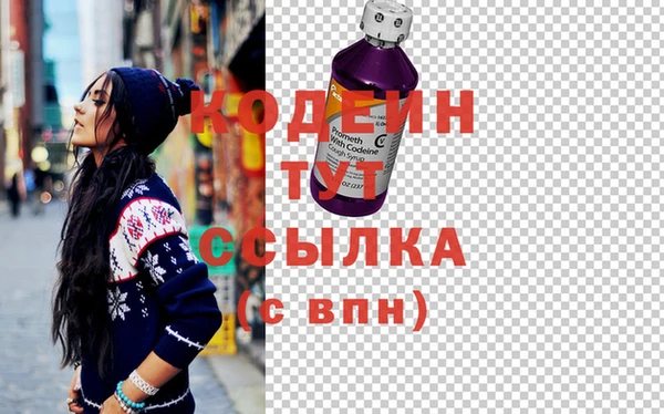 индика Вязьма