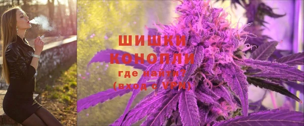 индика Вязьма