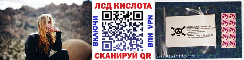Купить закладки  Новороссийск  Марки N-bome 1,5мг 