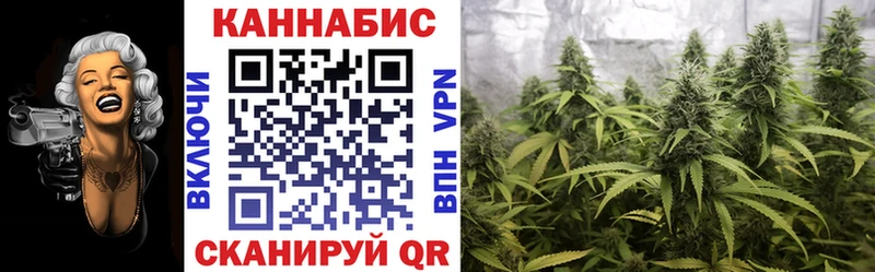 Канабис OG Kush  Купить закладки  Новороссийск 
